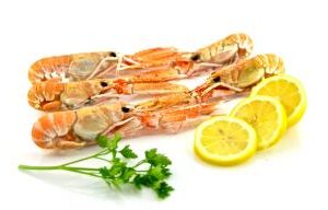 Langoustines, No. 1, 10/15